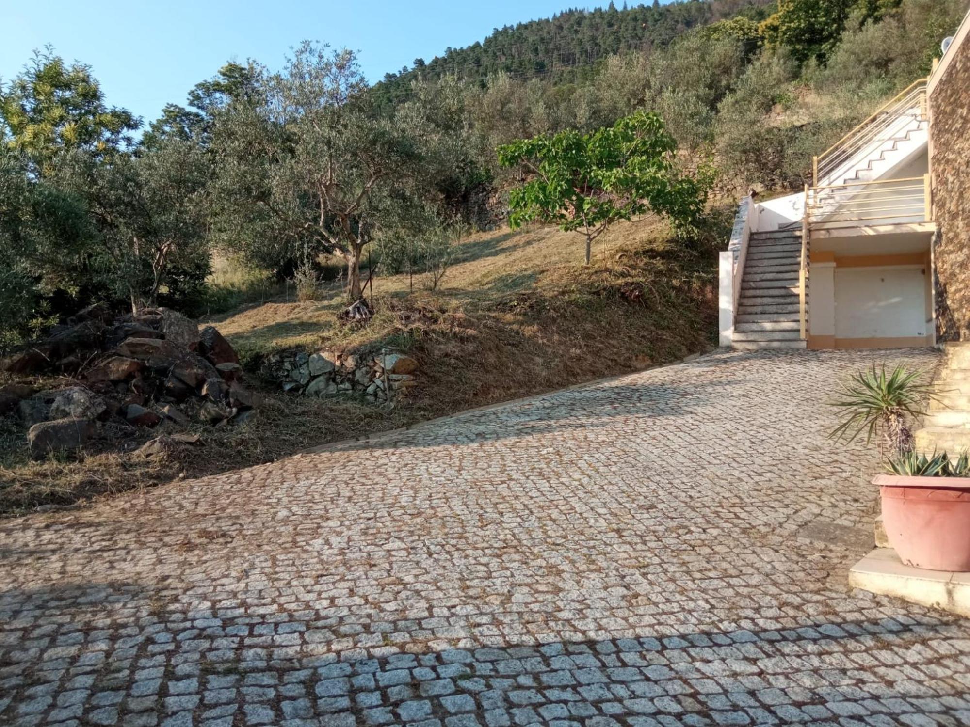 Casa Das Oliveiras - マンテイガス エクステリア 写真