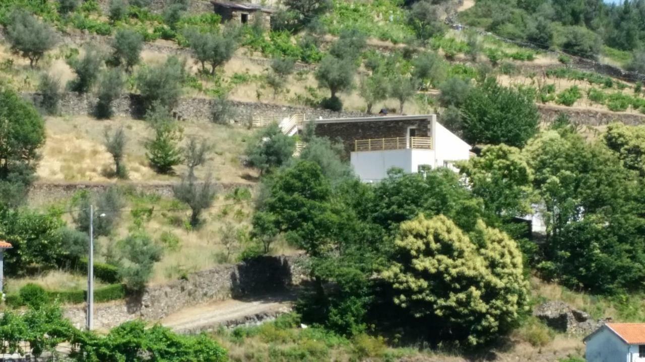 Casa Das Oliveiras - マンテイガス エクステリア 写真